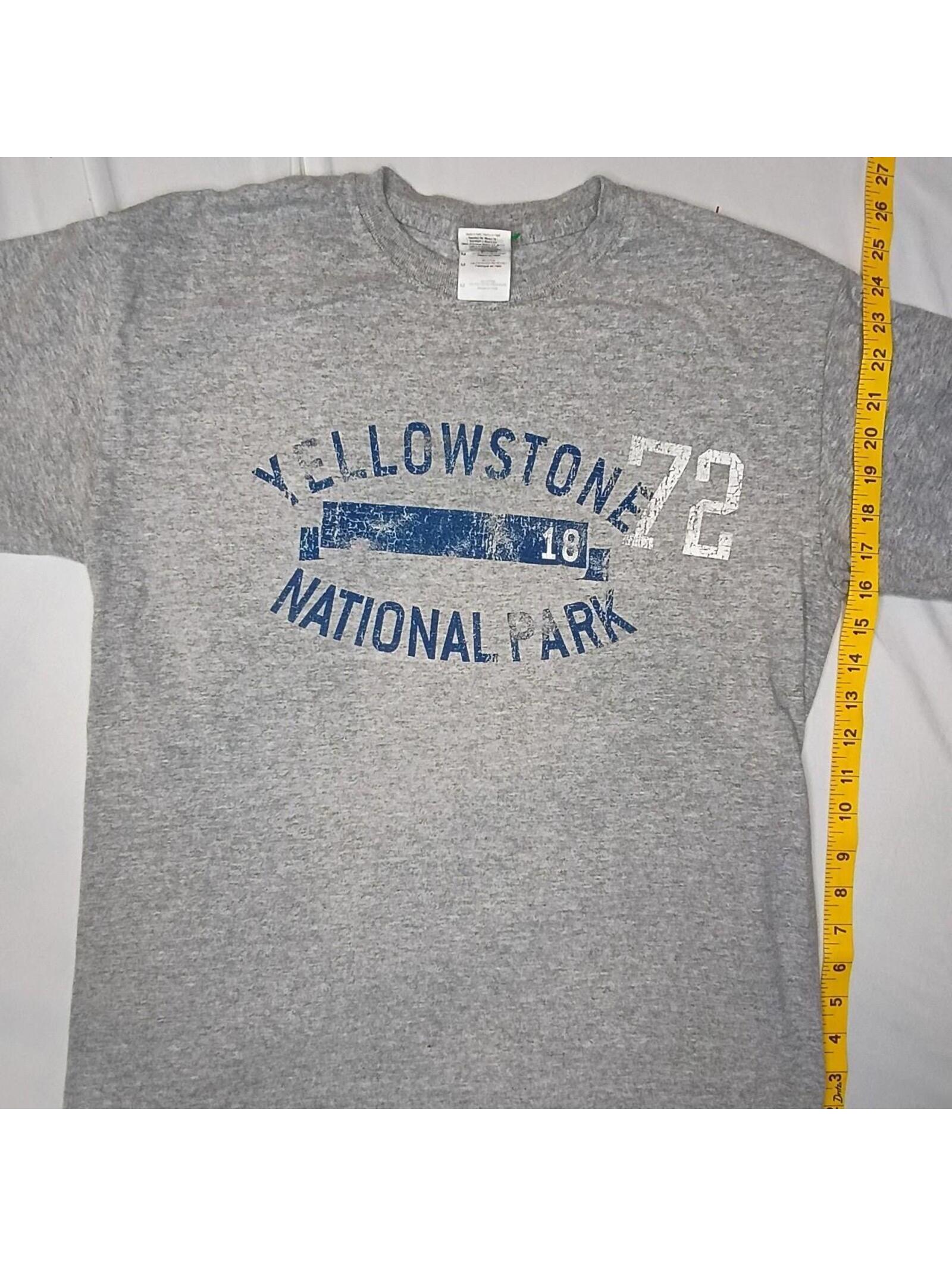 Men's Grey Tshirt